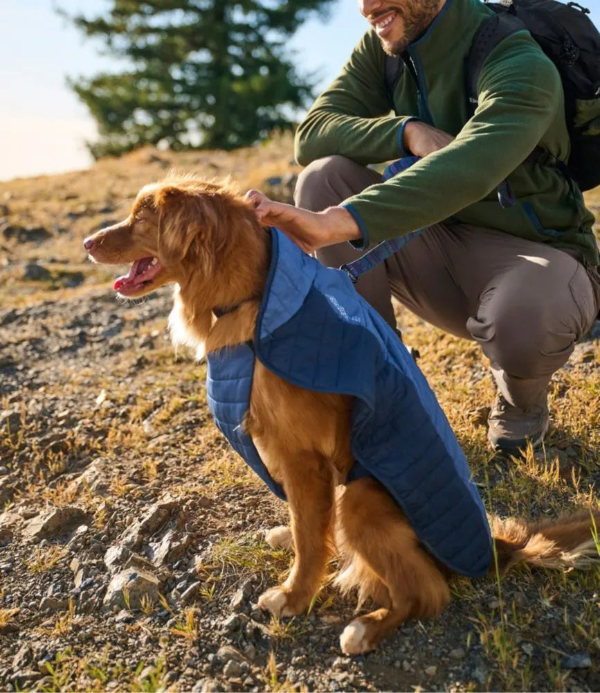 Packaway Insulated Dog Jacket