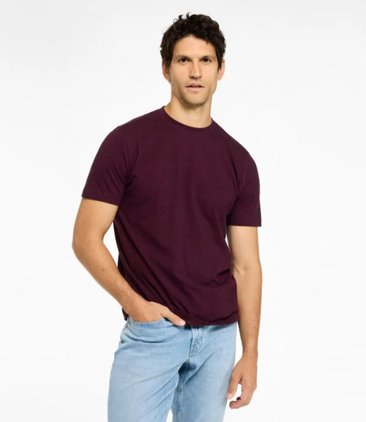Men's Carefree Unshrinkable Tee, Slightly Fitted, Short-Sleeve