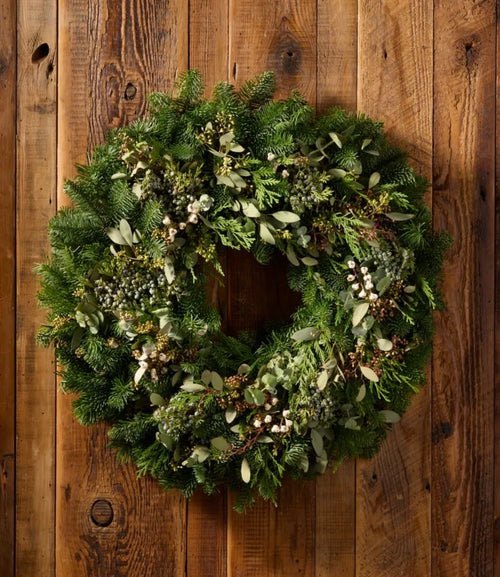 Fresh Evergreen Eucalyptus Wreath, 24"