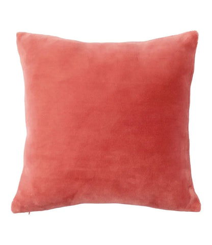 Wicked Plush Throw Pillow