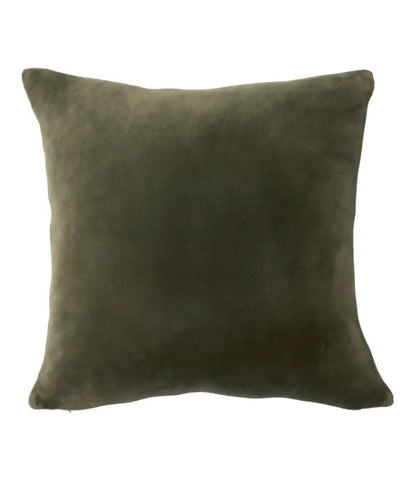Wicked Plush Throw Pillow